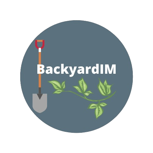 Backyard Improvements and Maintenance